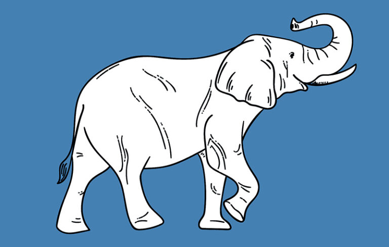 elefant
