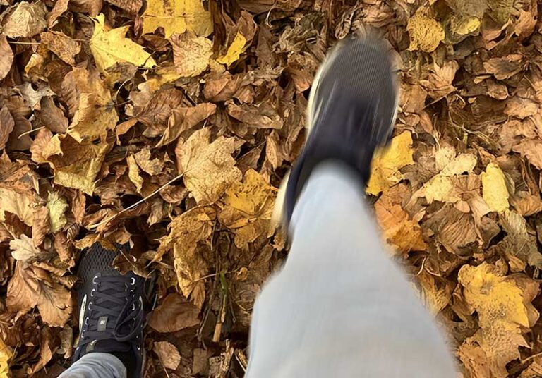 joggen-herbstlaub