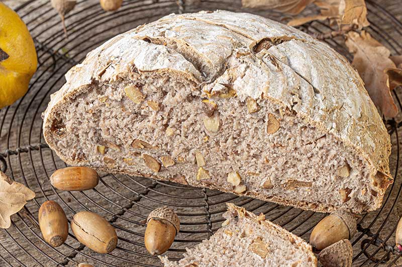 Weizensauerteigbrot mit Eicheln und Quitten